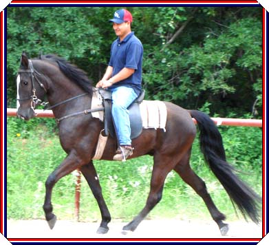 Royal  Vengeance