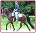 Royal  Vengeance
