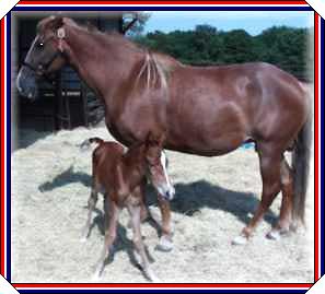 Coin and new baby