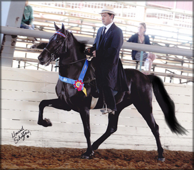 Commanding Lightning and Marco Suarez