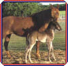 Delightfully Dumas and Slighty Scarlet