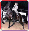 Diamond and Barbra - LA Stakes Class