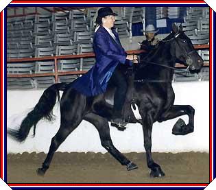 Diamond Houston Fall Show 2000