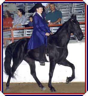 Dream Houstan Fall Show 2000