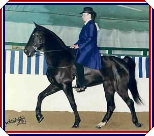 Happy At Pin Oaks 2001