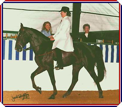 Dodi and Ice at the Pin Oaks Charity Show in Houston