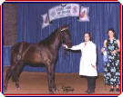 Here is a picture of Master's Best Score, taken 09/2004.  