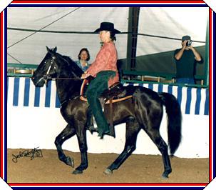 Predator -  Western Class