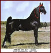Merry Go Boy WGCh 1947-48