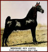 Midnight Sun 1945 - 1946 World Grand Champion