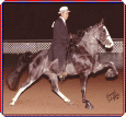 She's A Platinum Score taking home the blues at the Big "D" Charity in Dallas, 2007