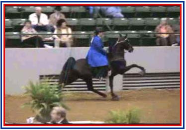 Dodi and Wired to Be Awesome in Mississippi - Click to load video. 
