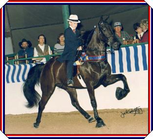 Diamond and Jimmy Civils