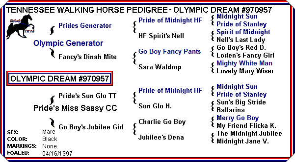 Olympic Dream Pedigree