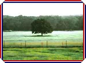 A Hazy summer day at McDodi Farms