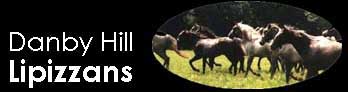 Danby Hill Lipizzans
