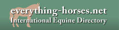234x60 link banner