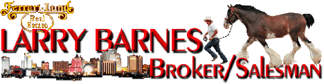 Larry Barnes, broker/salesman for Ferrari-Lund Real Estate, offers sound advice from an experienced realtor in the Reno, Nevada area. Servicing buyers and sellers of single family homes, ranch and farm properties, and investment property.