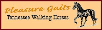 Pleasure Gaits Farm - Belgium